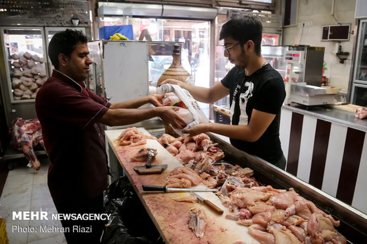 نوسان قیمت در کردستان/مرغ منجمد وارد بازار شد