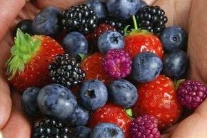 خوشمزه ترین خوردنی های ضد استرس