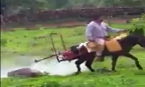 الاغی با کاربری سم پاشی !!