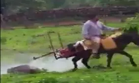 الاغی با کاربری سم پاشی !!
