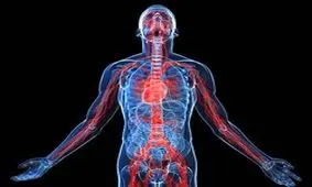 روش‌های از بین بردن غلبه بلغم بر مزاج