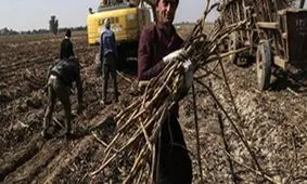 استاندار خوزستان ادعای شکنجه یکی از کارگران نیشکر هفت تپه را رد کرد