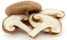 روشهای نگهداری و استفاده از قارچ