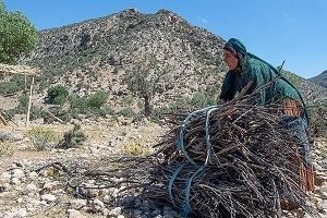 مستمری‌بگیران صندوق بیمه اجتماعی روستایی بسته جبرانی می‌گیرند