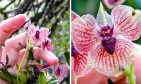 حقایق جالبی که اکنون به لطف نشنال جئوگرافیک می‌دانیم!