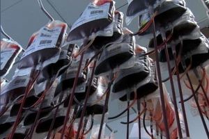 ذخیره سازی بیش از ۲۰۰ خون بندناف نوزاد در بانک خون رویان هرمزگان
