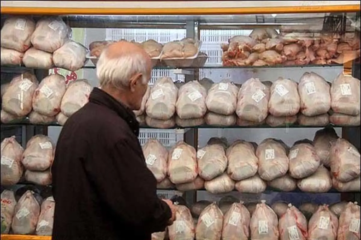 گوشت مرغ با قیمت مصوب در مازندران عرضه می شود