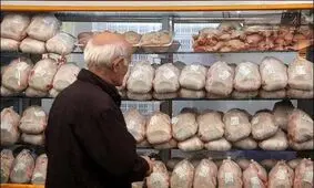 گوشت مرغ با قیمت مصوب در مازندران عرضه می شود
