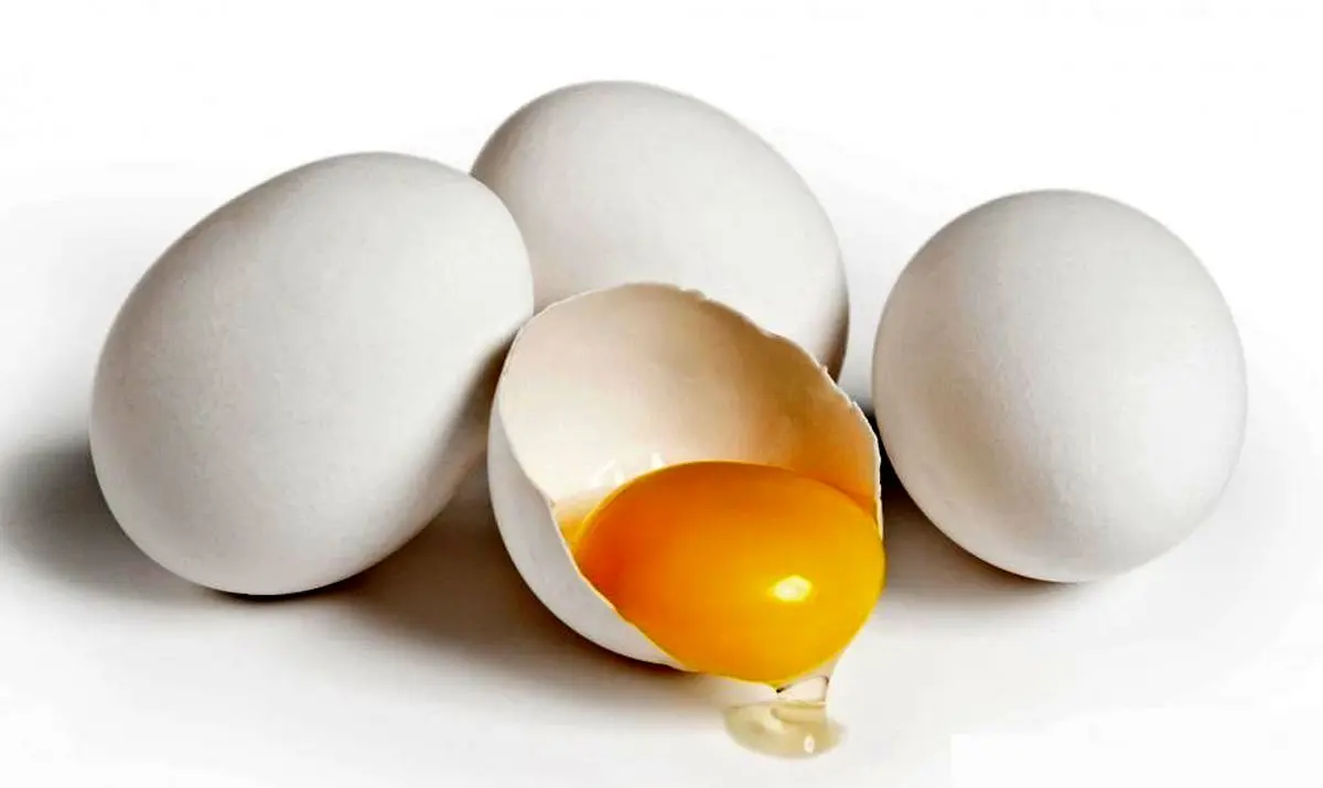 قیمت تخم مرغ در میادین میوه و تره بار