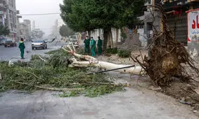 وزش باد شدید در ایلام