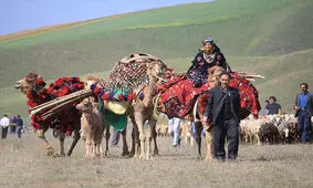 ۱۴۹ قشلاق در سطح استان اردبیل قابلیت تبدیل شدن به روستا را دارد