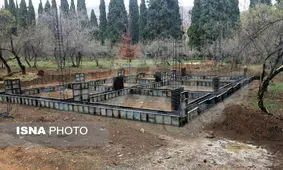 دلیل اصلی پدیده وارونگی هوا، حمل و نقل نیست