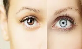 افسردگی فصلی در چشم قهوه ای ها یا چشم آبی ها