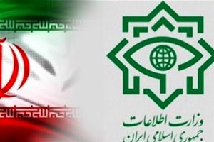 وزارت اطلاعات:‌ عوامل اخلال در نظام ارزی در ۲ استان دستگیر شدند