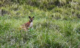 وقتی به گوگل مپ اعتماد می‌کنید