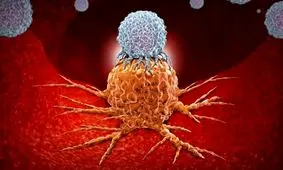 افزایش ایمنی بدن برابر سرطان با کمک یک پروتئین جدید