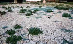 تلاش خواهیم کرد تا زاینده‌رود زنده شود