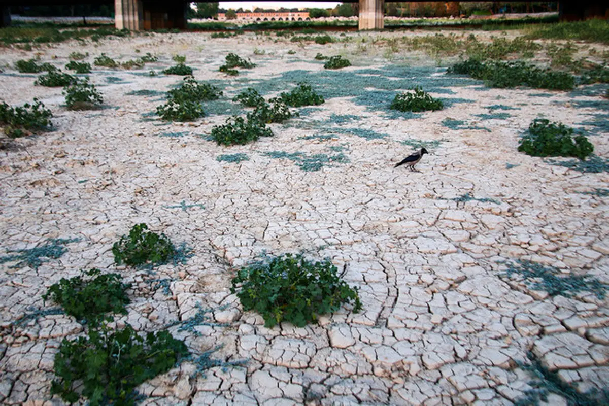 تلاش خواهیم کرد تا زاینده‌رود زنده شود