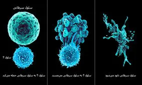 ایمنی درمانی سرطان چیست؟