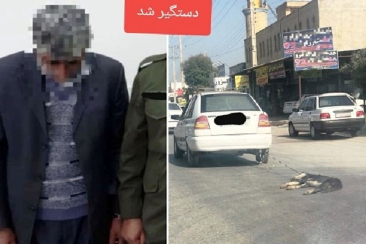 فرد حیوانآزار در استان بوشهر شناسایی و دستگیر شد