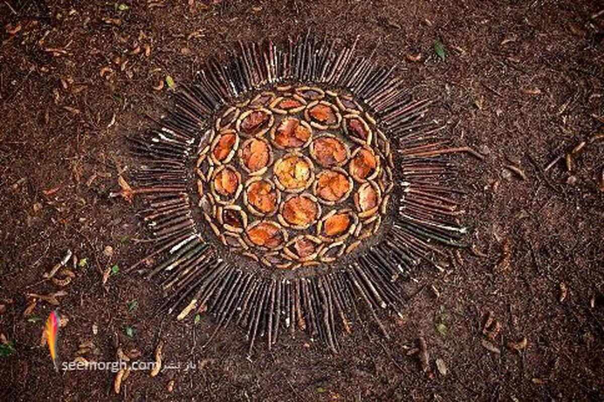 هنرمندی که از هر چیزی اثر هنری می سازد! + عکس