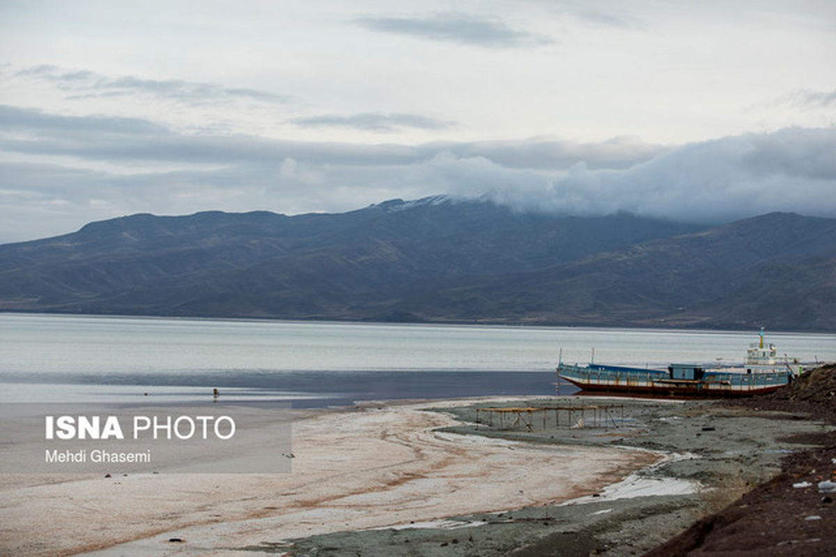 گیاهانی که می‌توانند به داد دریاچه ارومیه برسند