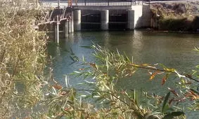 زاینده رود تا اوایل بهمن برای کشت پاییزه کشاورزان باز می شود