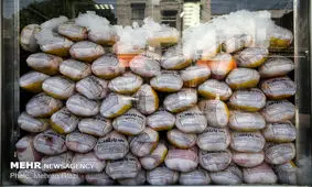 روزانه ۵۰ تن گوشت مرغ گرم در مشهد توزیع می شود