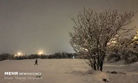 بارش برف در ایلام آغاز شد