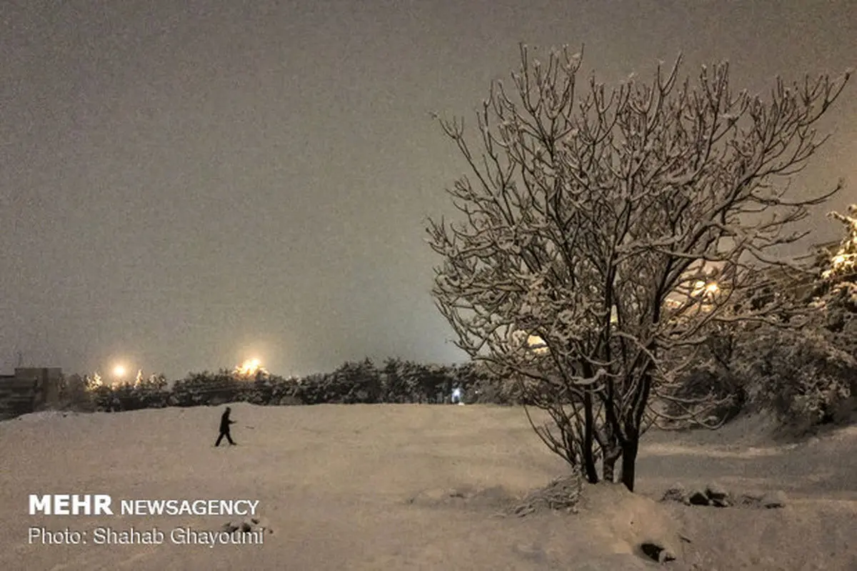 بارش برف در ایلام آغاز شد