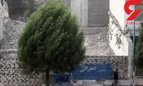 هشدار / امروز توفان در تهران