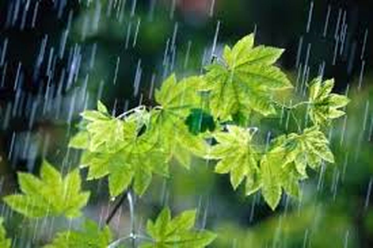 افزایش ۳۳ درصدی بارندگی در چهارمحال و بختیاری