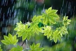 افزایش ۳۳ درصدی بارندگی در چهارمحال و بختیاری