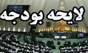 نماینده مجلس: نگاه نمایندگان به بودجه ۹۸ ملی است