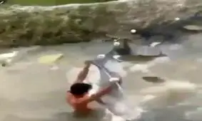 ماهیگیری فقط این