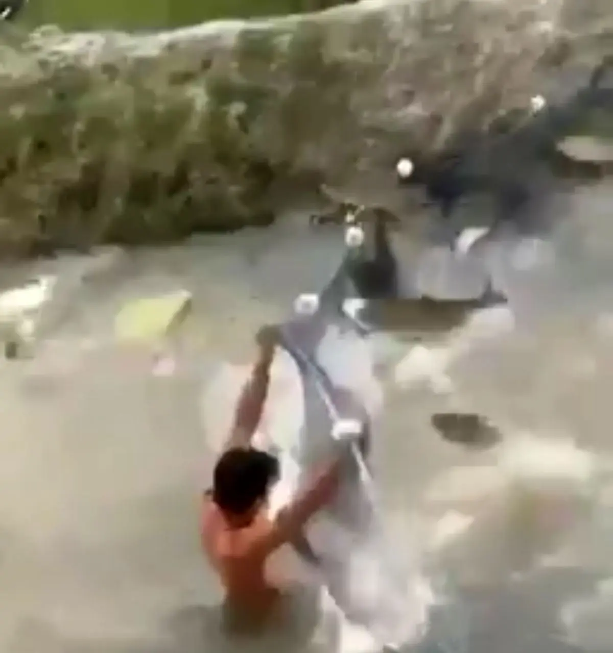 ماهیگیری فقط این