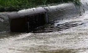 عجیب‌ترین جاهایی که والدین نوزادشان را رها کردند!