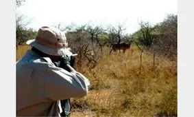 انهدام باند شکارچیان غیرمجاز