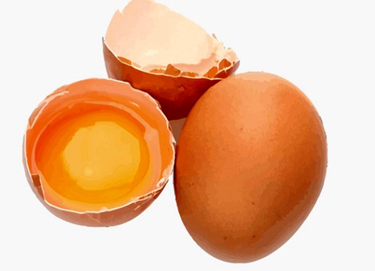 درمان کم خونی با مصرف تخم مرغ