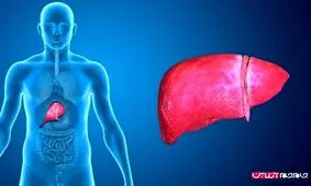 نشانه های بیماری کبد که شما را دچار دردسر خواهد کرد