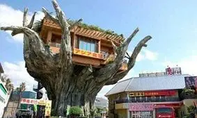 دنیا و عجیب‌ترین خانه‌های آن