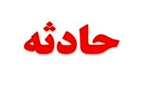 سقوط آزاد سارق منزل در حین فرار