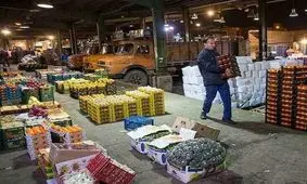 صادرات عامل گراني مجدد برخي اقلام ميوه است