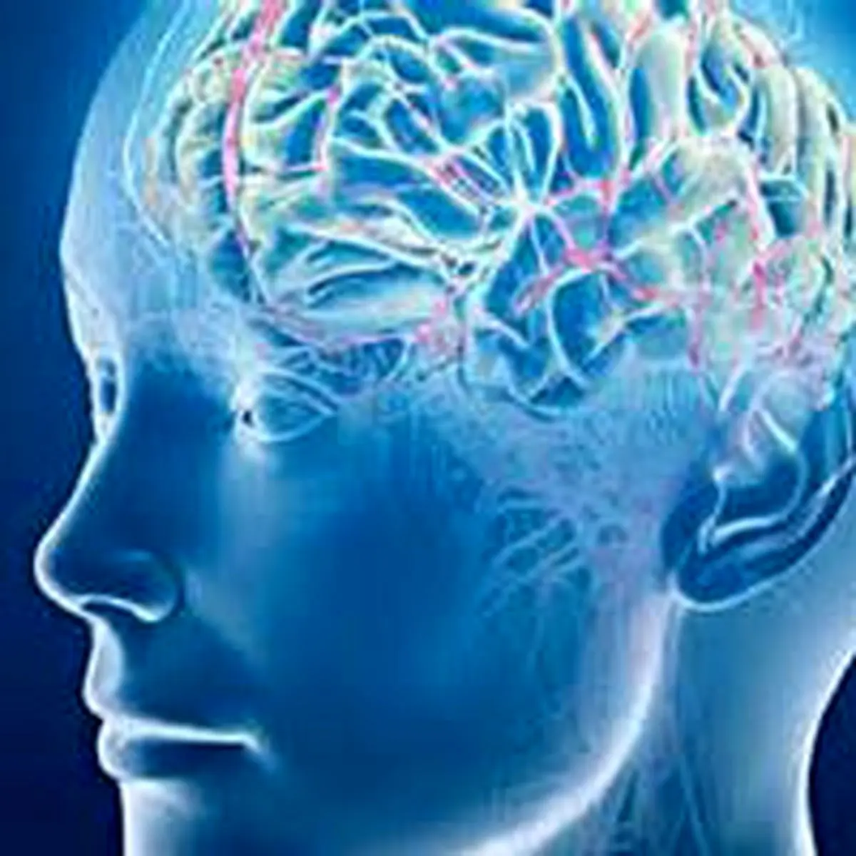 موقع خواب مغز کوچک می‌شود