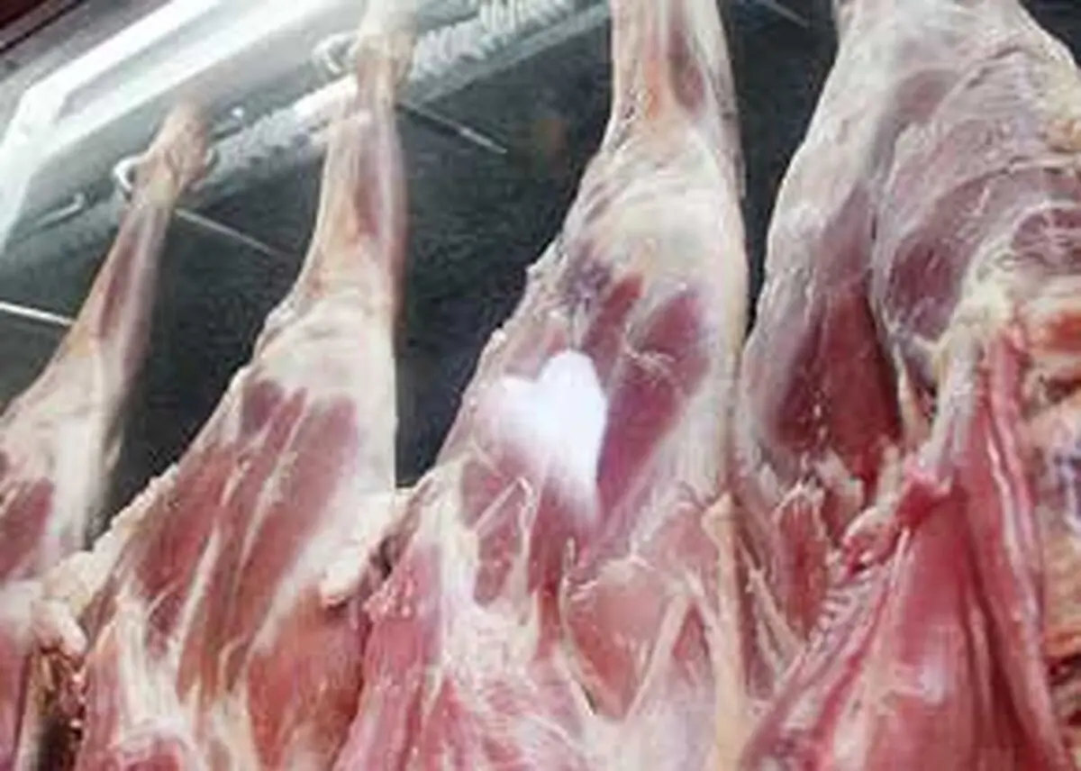 توزیع گسترده گوشت قرمز ۲۹ و ۴۰ هزار تومانی در روزهای آینده