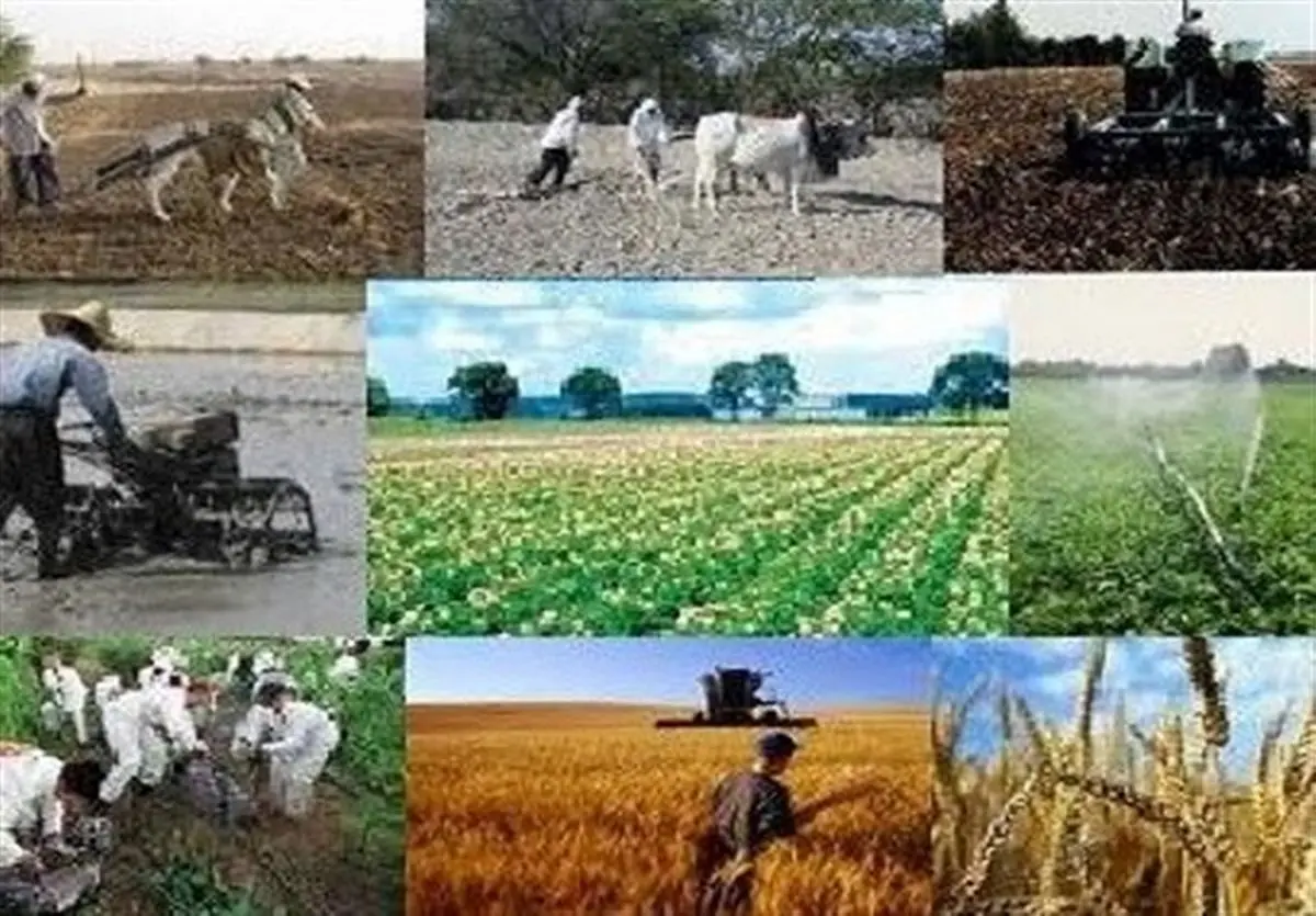 ۱۶۰ میلیارد تومان از تسهیلات اشتغال روستایی در همدان پرداخت شد