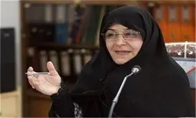 نماینده‌ مخالف تایید اعتبارنامه سلمان خدادادی در مجلس هشتم: همه مستندات را در جلسه غیرعلنی گفتم اما الان نمی‌توانم بگویم، غیراخلاقی است