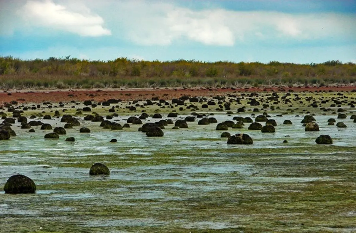 آیا مصرف آب راکد برای بدن عوارض دارد؟