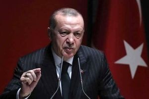 اردوغان: تلاش برخی برای انتقال "بهار عربی" به ترکیه ناکام ماند