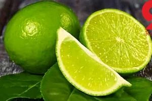 کاهش فشار خون با قرار دادن یک قاچ لیمو در اتاق